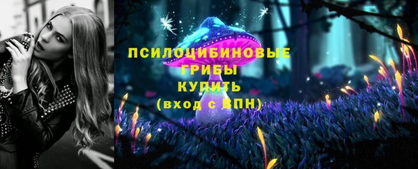 а пвп мука Кулебаки