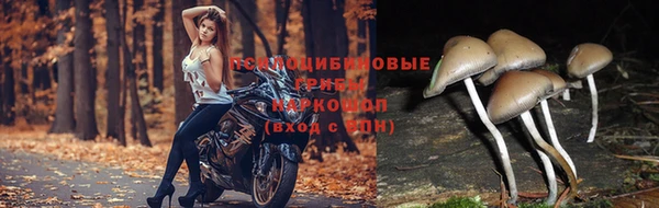 MDMA Premium VHQ Куйбышев