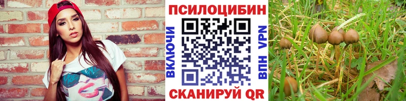 Галлюциногенные грибы мухоморы  это как зайти  Холм 